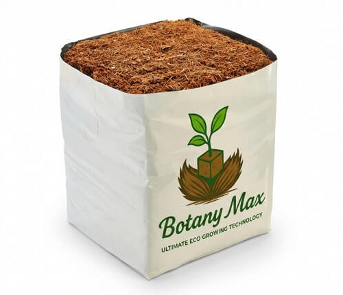 Botany Max Lanka open tops 4